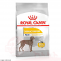 Royal Canine maxi Dermacomfort 10kg