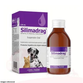 Silimadrag Jarabe 120 ml 37044 16,990.00