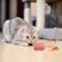 Juguete Para Gato Mimo Cilindro Fibra Na 4cm
