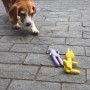 Juguete Para Perro Mimo Conejo Amar Latex