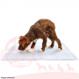 Alfombra Higienica Mimo Pads
