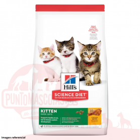 Hills feline Kitten Healty...