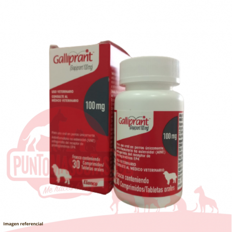 Galliprant 100mg