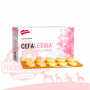 Cefalexina 500mg 10 comprimidos