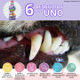 Dental Fresh Placa y Sarro para Perro 237ml