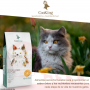 Cooking Gato Adulto Grain Free Esterilizado 2 kg
