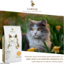 Cooking Gato Adulto Grain Free Pollo 2 kg