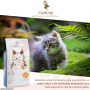 Cooking Gatito Grain Free 2 kg