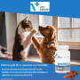 Vet Expert VetoSkin 60 u.