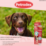 Petrodex Pasta Dental Enzimatica Perros Sabor Ave 175g