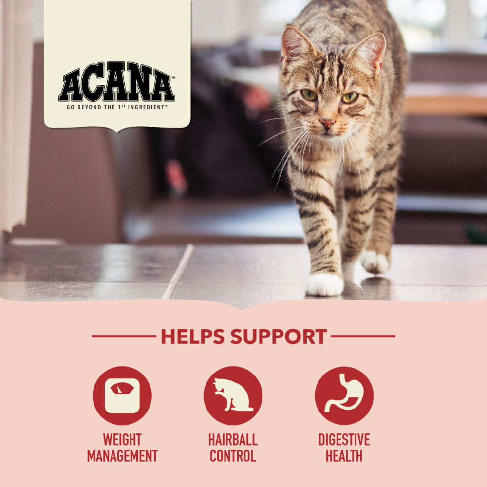 Acana store sterilised cat