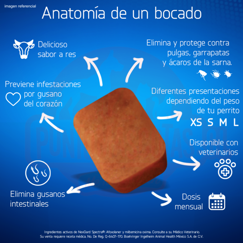 Nexgard Spectra 3.6 a 7.5 kg 3 Comprimidos 37703 26,990.00