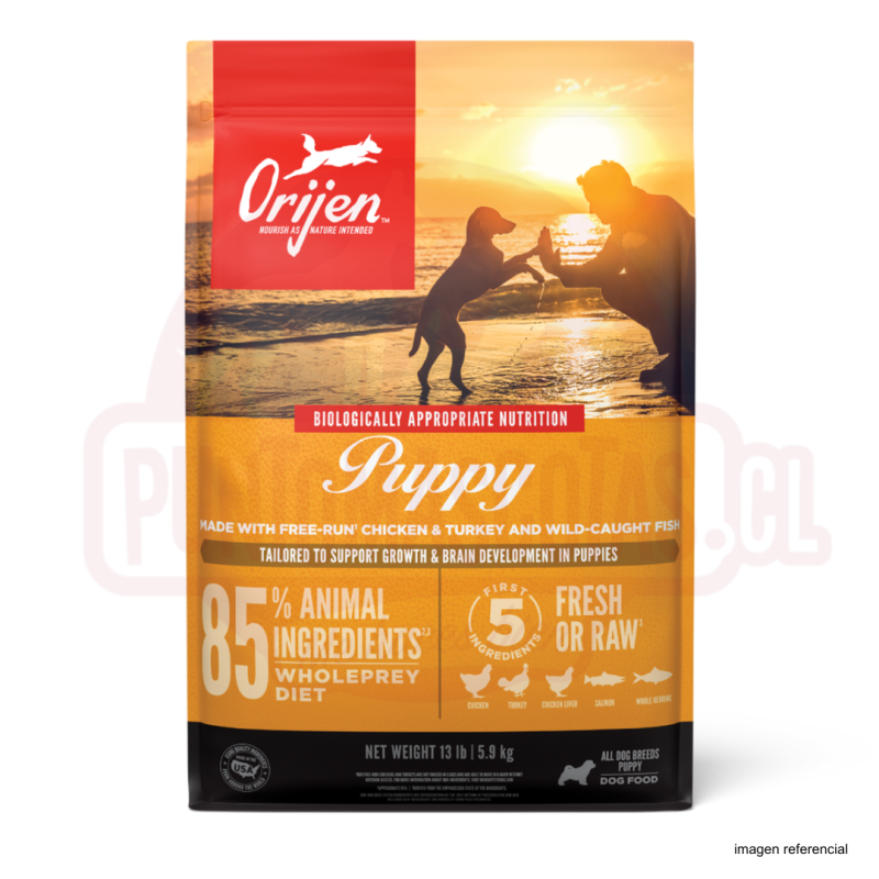 Orijen Puppy Large Breed Whole Prey Hundefutter – 6 Kg, Für Große Welpen, Getreidearm, Hoher Fleischanteil