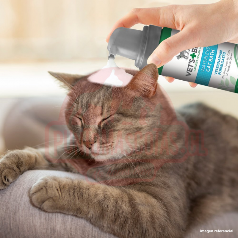 Vet's Best Shampoo Seco Gato 150ml 41172 9,590.00