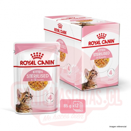 Pack 12 Royal Canin Kitten Pouch Húmeda Sterilized 85 grs