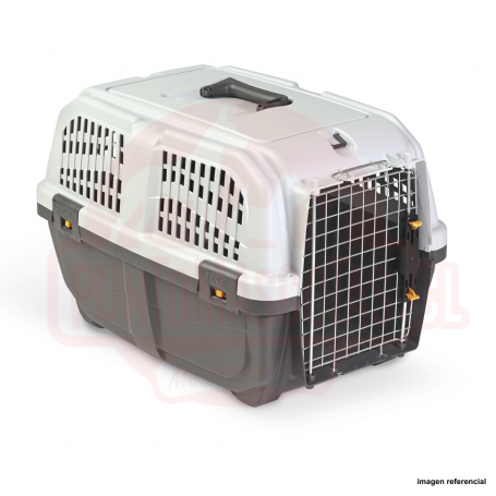 Transportadora Skudo 3