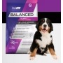 VitalCan Balanced Perro Cachorro Raza Grande 15 kg