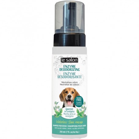Shampo en Seco Desodorizante Le Salon 210 ml