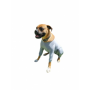Body Cobre Perro Con Patas Cunatex Talla 11
