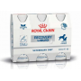 Pack x 3 Royal Canin Recovery Liquid 200ml