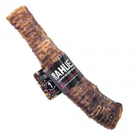 Rahue Tráquea 12 pulgadas