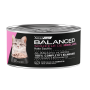 Pack x12 Vitalcan Balanced Soufflé Gato Cachorro – Merluza 85g
