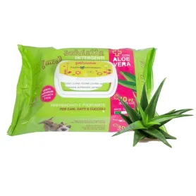 Toallitas Húmedas Aloe Vera