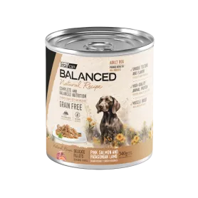 Vitalcan Natural Recipe Perro Adulto Delicados Filetes – Salmón & C...
