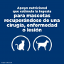 Pack 24 Alimento Humedo Hills A/D 156g (AD)
