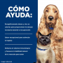 Pack 24 Alimento Humedo Hills A/D 156g (AD)