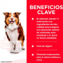 Pack 12 Hills Alimento Humedo Adulto +7 Para Perros 370gr