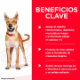 Pack 12 Hills Alimento Humedo Adulto Para Perros 370gr
