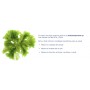 Suplemento Nutricional Omeglo TRM Omega 3 y 6 Perros y Gatos