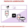 Royal Canin Pack 12 Sterilised Felino Pouch 85g