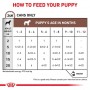 Pack 6 Royal Canin Puppy Húmedo Gastrointestinal 195 grs