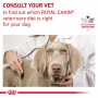 Pack 6 Royal Canin Puppy Húmedo Gastrointestinal 195 grs