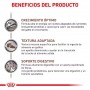 Pack 12  Royal Canin Felino humedo Gastrointestinal Kitten 195 grs