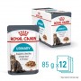 Royal Canin Pack 12 Urinary Care Felino Pouch