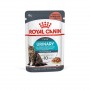 Royal Canin Pack 12 Urinary Care Felino Pouch