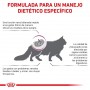 Royal Canin Renal Special Gatos 2kg