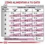Royal Canin Renal Special Gatos 2kg