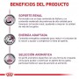 Royal Canin Renal Special Gatos 2kg