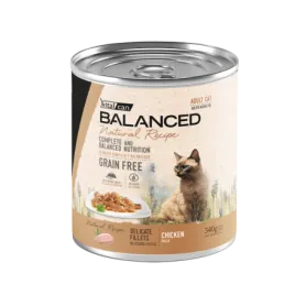 Pack 12 Vitalcan Natural Recipe Gato Adulto Delicados Filetes Pollo...