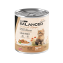 Pack 12 Vitalcan Natural Recipe Gato Cachorro Delicados Filetes – Cordero – 340 g