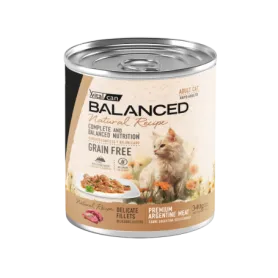 Pack 12 Vitalcan Natural Recipe Gato Adulto Delicados Filetes – Car...