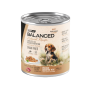 Pack 12 Vitalcan Natural Recipe Perro Cachorro Delicados Filetes – Carne – 340 g