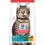 Hills feline Adulto 7+ Años Indoor 1.58 kg