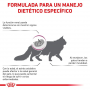 Royal Canin Feline Early Renal 1.5Kg