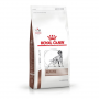 Royal Canin Vet Diet Canino Hepatic 10Kg