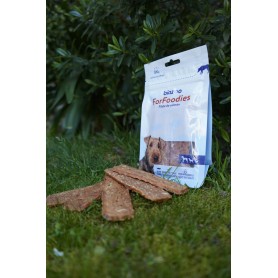 Golosina para Perros Biazoo Filete Samon 100 grs Golosina para Perros Biazoo Filete Samon 100 grs